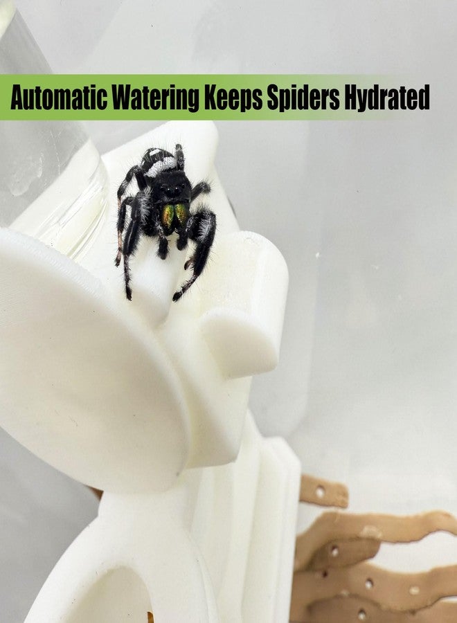 Daerky Jumping Spider Water Feeder, Spider Magnetic Hanging Water Feeder, Small Animal Fence Decoration, Suitable for All Kinds of Jumping Spiders and Small Insects Habitat Fence Accessories - Image 5